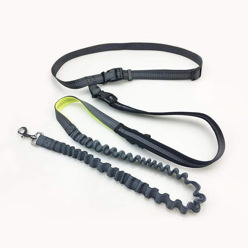 Hands-Free Bungee Dog Leash