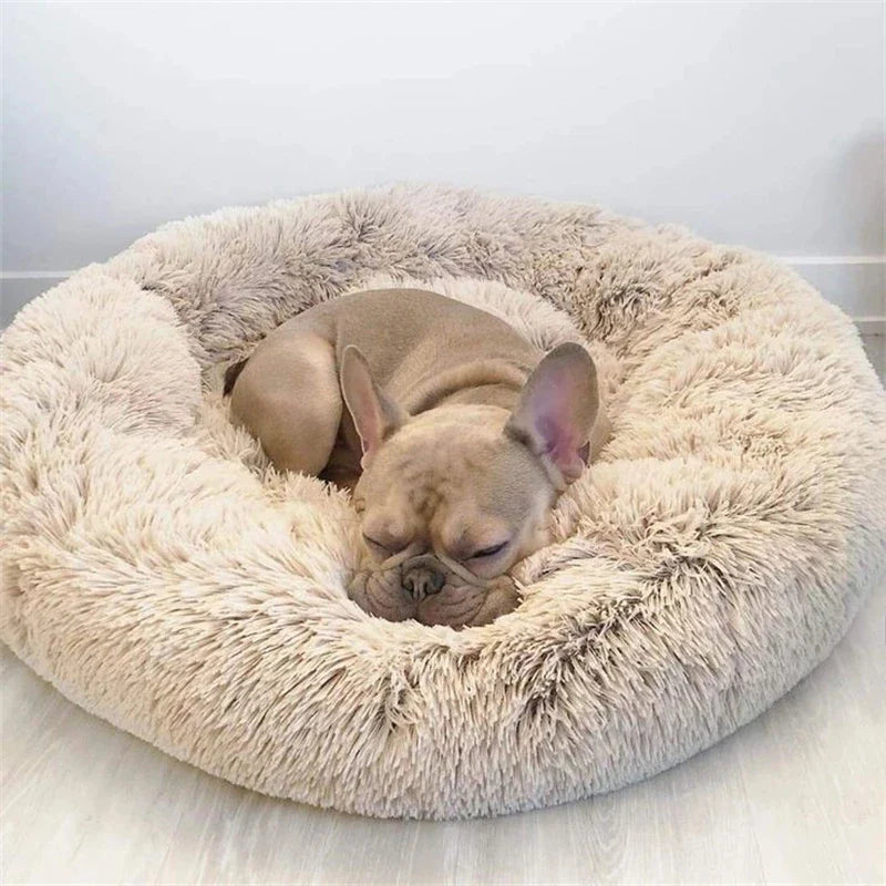 Bed & Mat