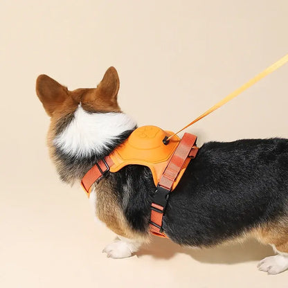 Retractable Leash with No-Pull Chest Harness
