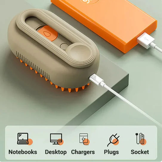 Electric Grooming Brush